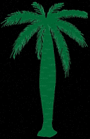 Wine Palm